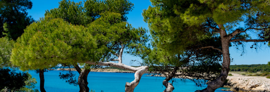 camping à Marseille